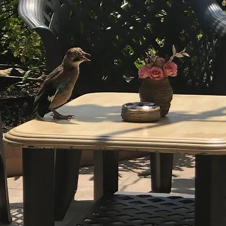 Vendégház Ivano 2*