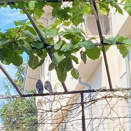 Ivano Maison d'hôtes 2*