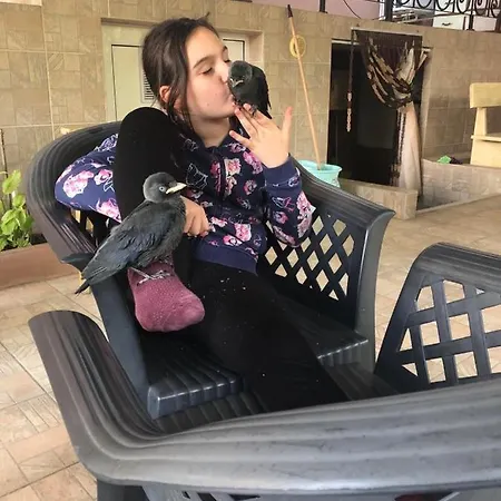 بيت ضيافة Ivano 2*