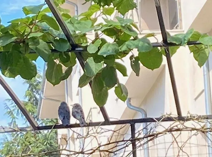 Ivano Πανσιόν 2*