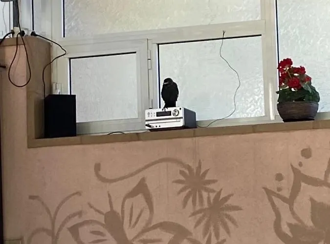 Ivano Πριμόρσκο