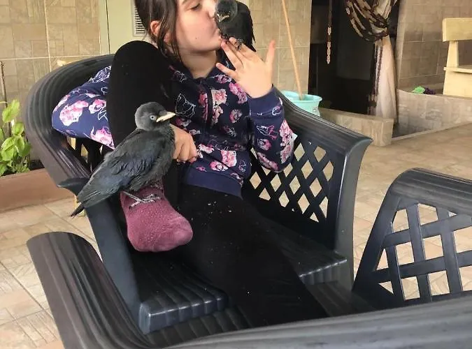 Πανσιόν Ivano 2*