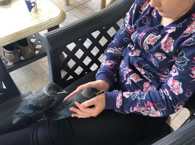 Ivano Πριμόρσκο